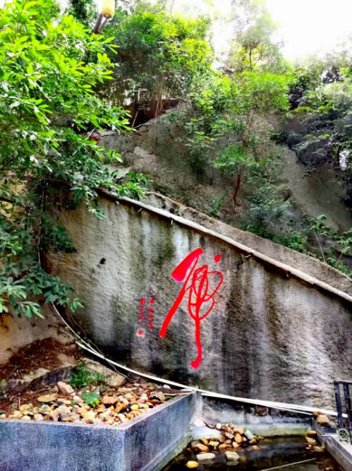 1772013776.png image.png