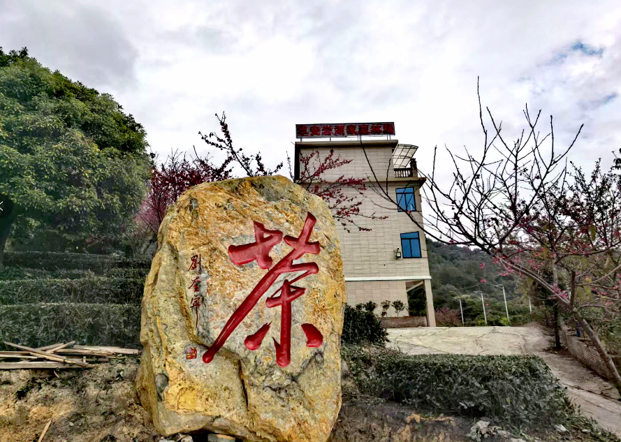 1772001982.png image.png